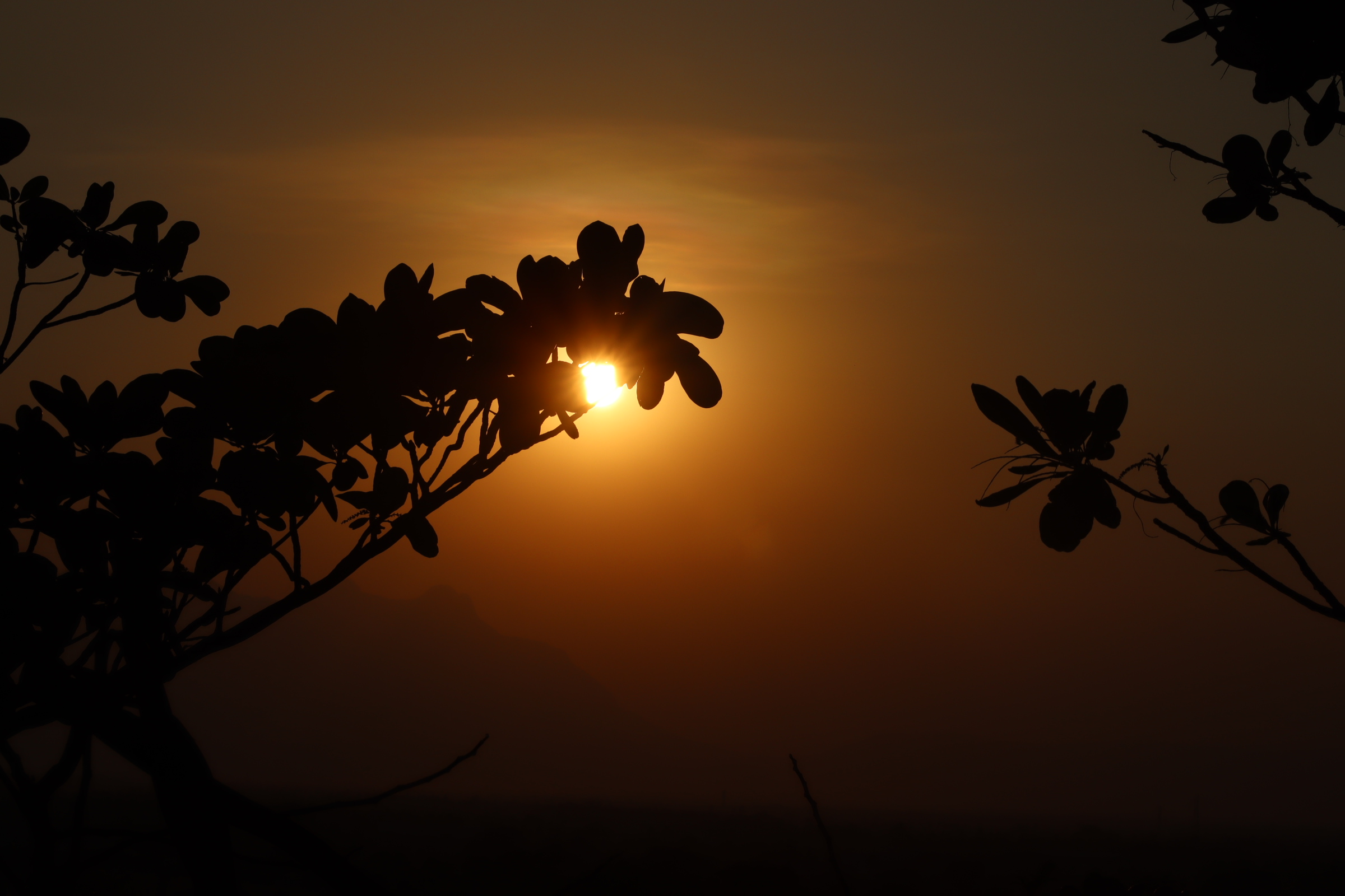 a sunset