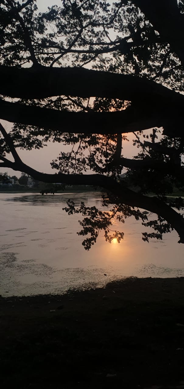the lake